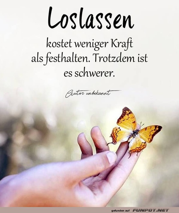10 sch�ne Spr�che und Lebensweisheiten aus...