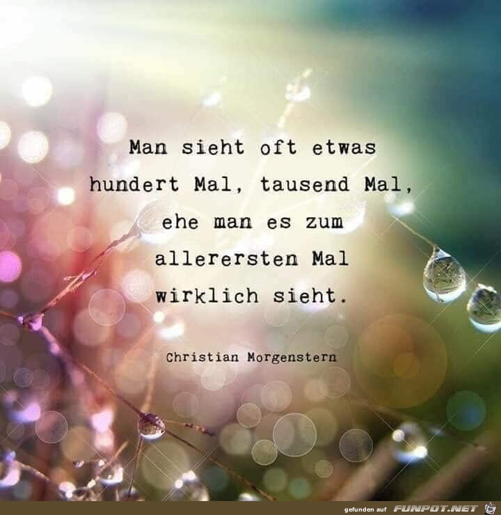 man sieht oft etwas hundert Mal man sieht oft etwas hundert Mal