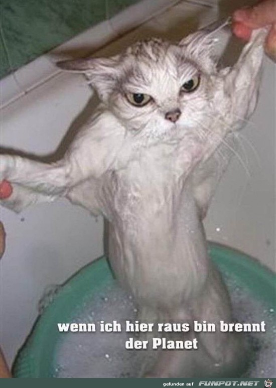 Diese Augen Diese Augen