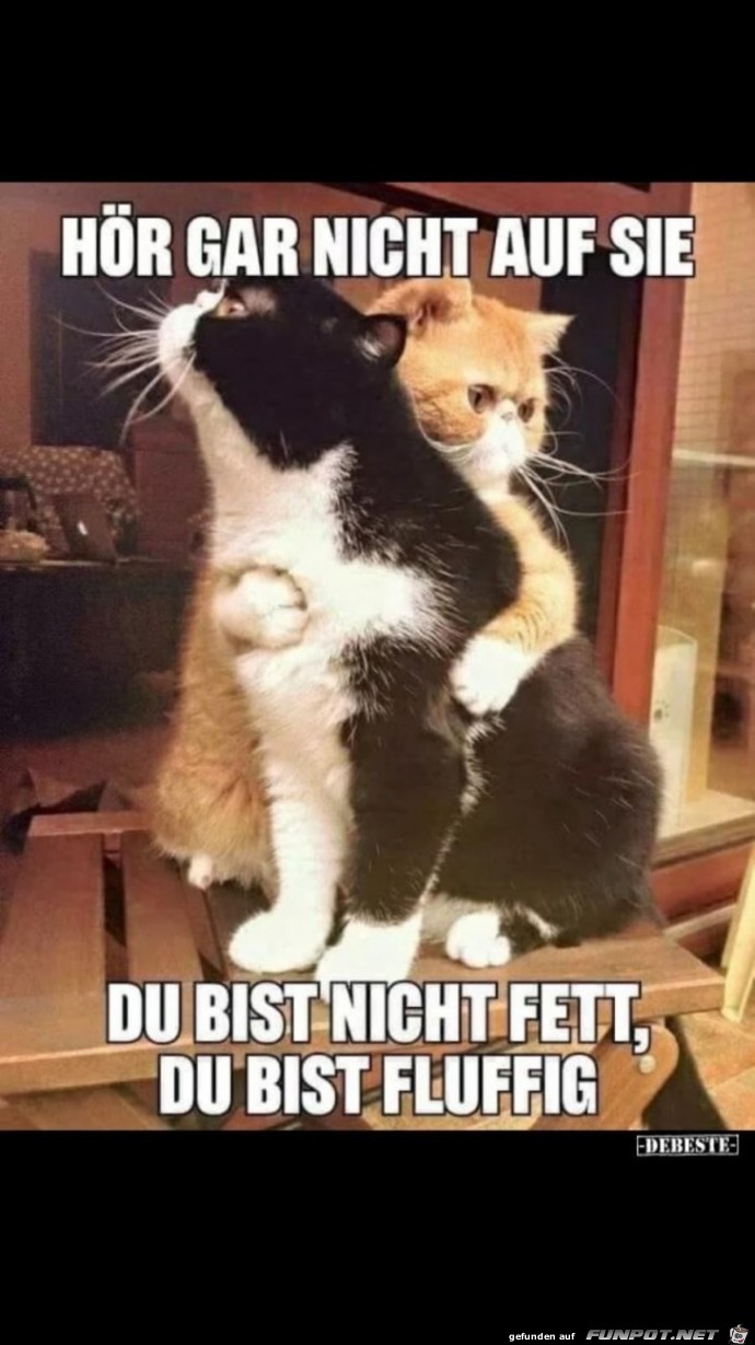 Fluffig nicht Fett