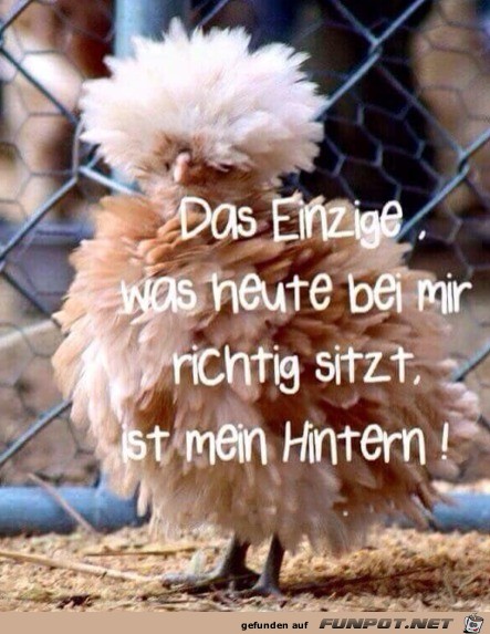 Schicke Frisur Schicke Frisur