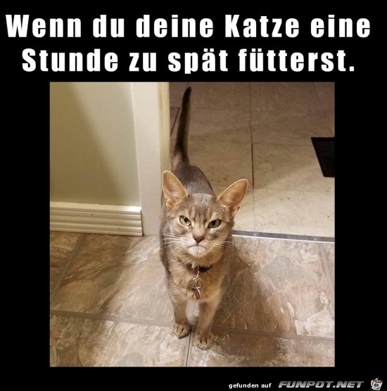 Zu spät Zu spät