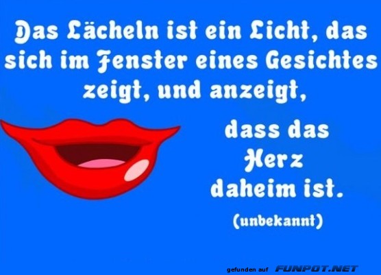 10 sch�ne Spr�che und Lebensweisheiten aus...