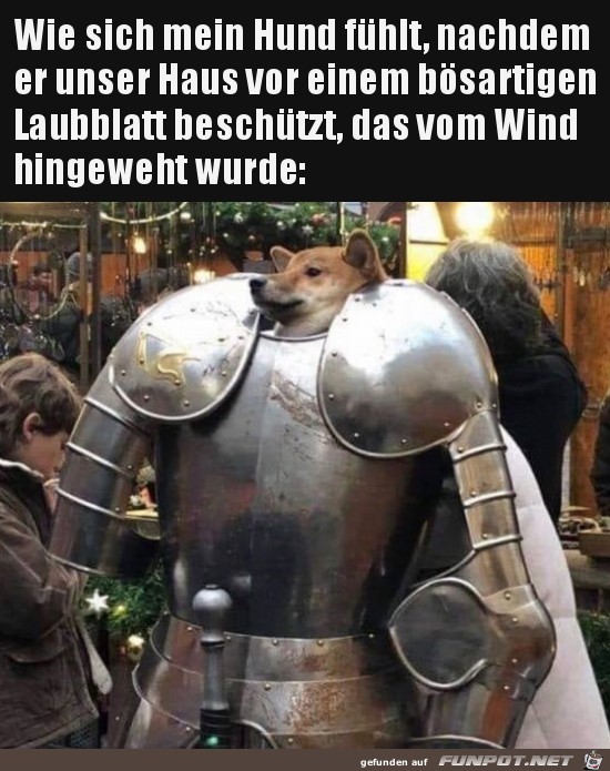 Mein Hund