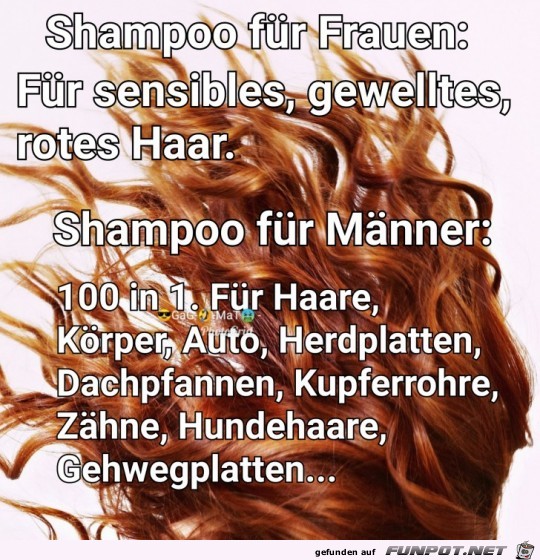 Hundert in eins Hundert in eins