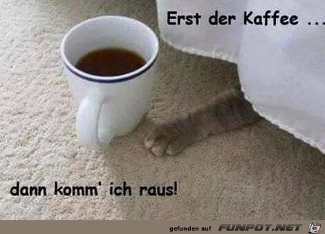 Erst Kaffee