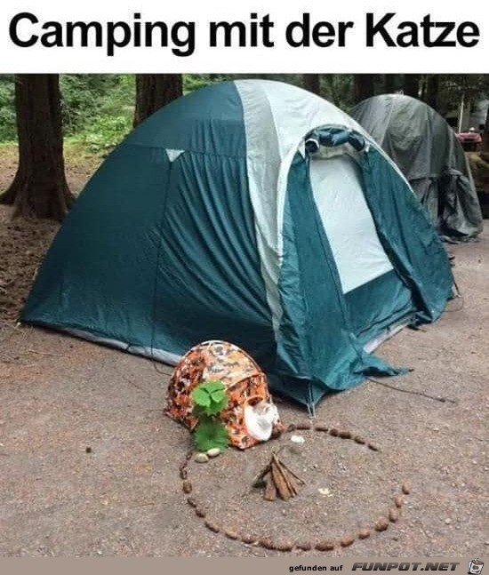 Wie süß Wie süß