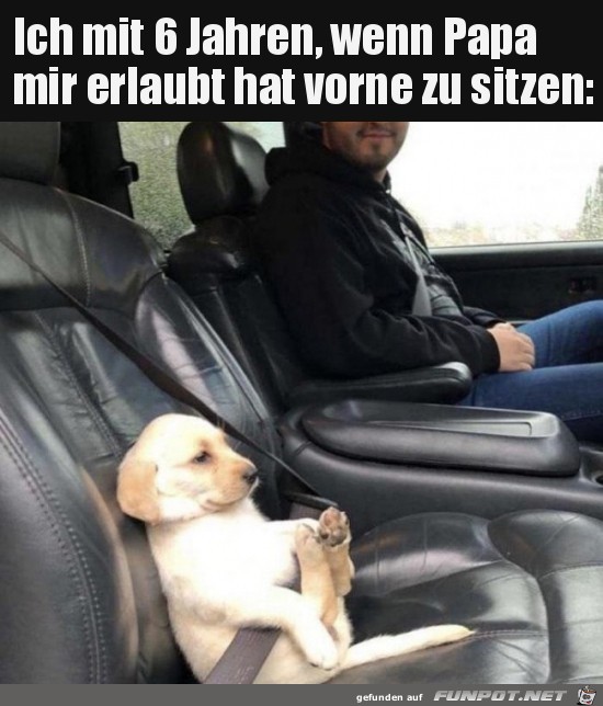 Das ist ja genial Das ist ja genial