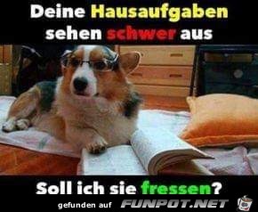 Deine Hausaufgaben...