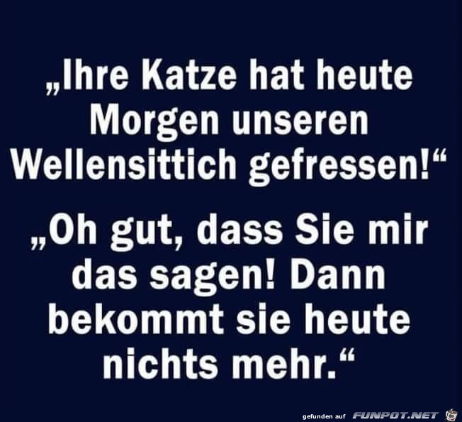 Ihre Katze hat...