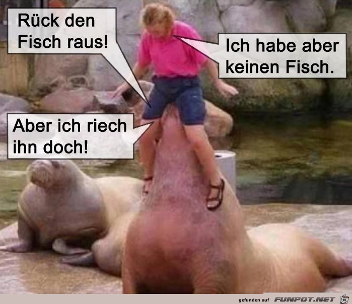 Rueck den Fisch raus