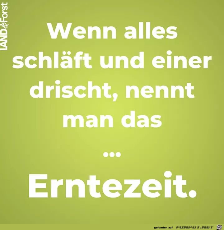 Erntezeit