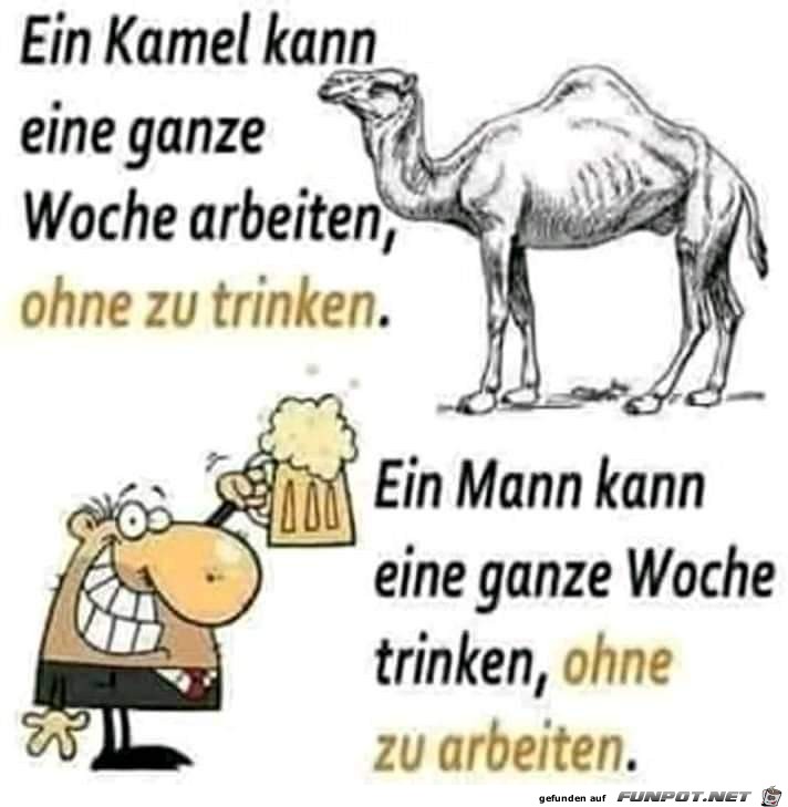 Trinken Trinken