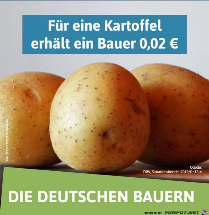 Kartoffeln Kartoffeln