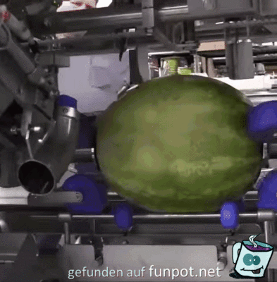 So schlt man Melonen