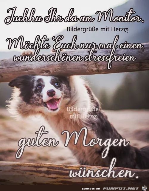 guten Morgen guten Morgen