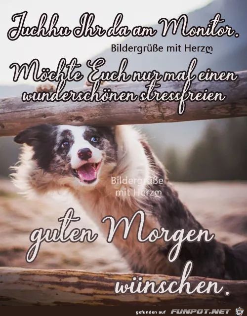 guten Morgen