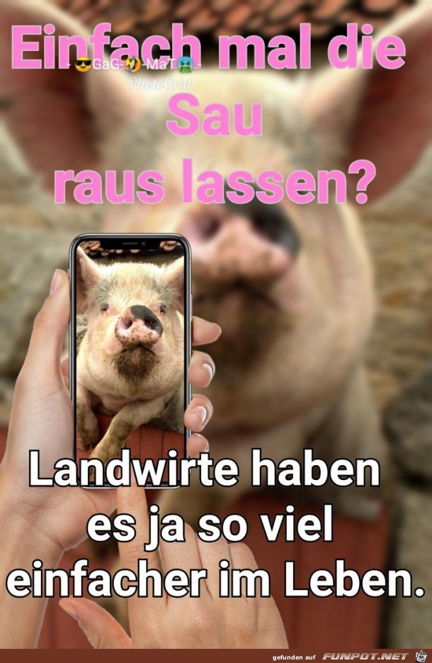 Die Sau muss raus