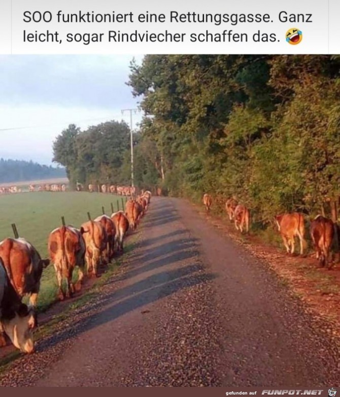 Rettungsgasse Rettungsgasse