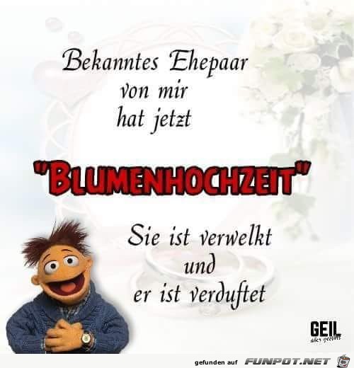 ETKT6724 ETKT6724