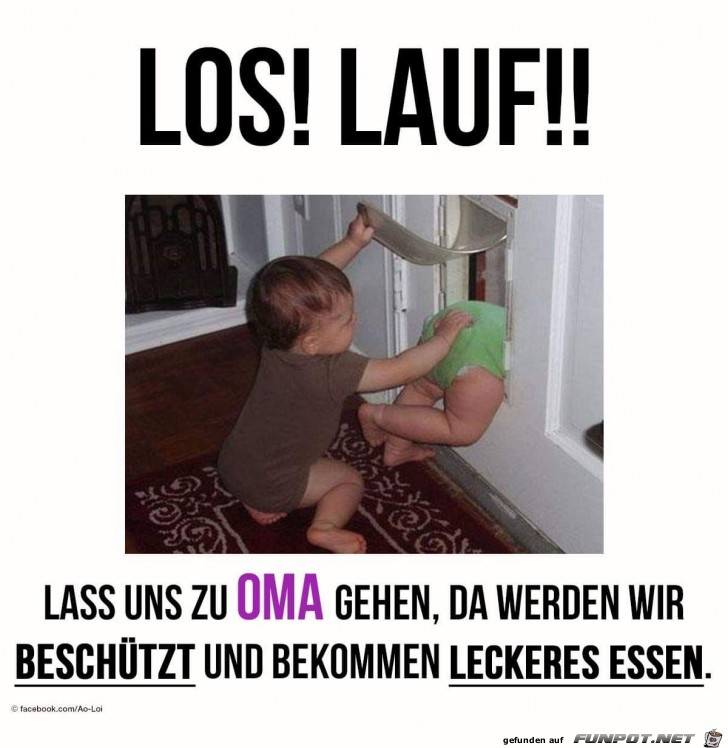 los auf