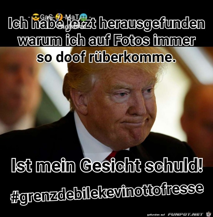 grenzdebil grenzdebil