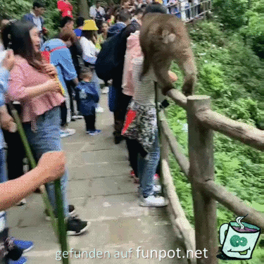 Platz da, das ist mein Geländer Platz da, das ist mein Geländer