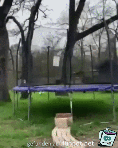 Trampolin Trampolin