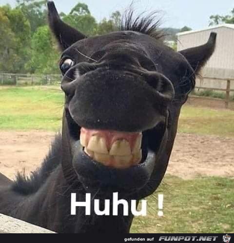 Huhu Huhu