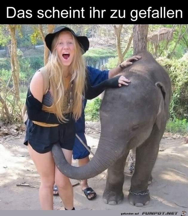 Das gefaellt