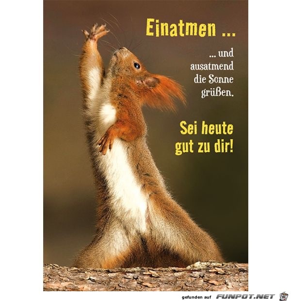 Einatmen... und ausatmend