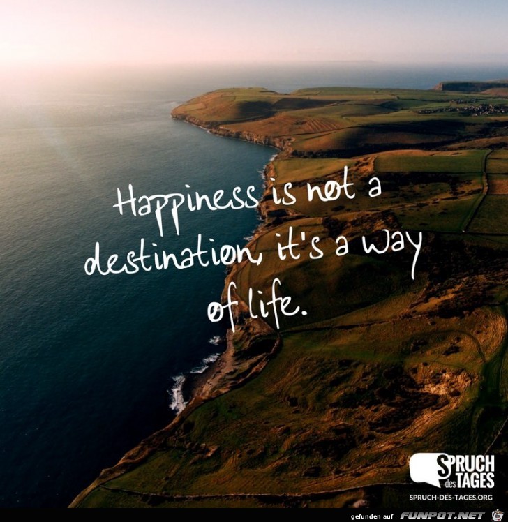 Happiness Happiness