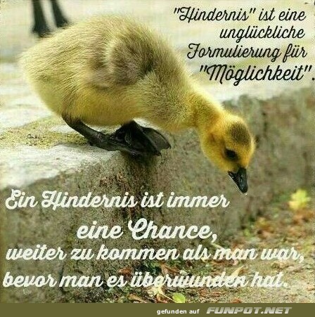 10 sch�ne Spr�che und Lebensweisheiten aus...