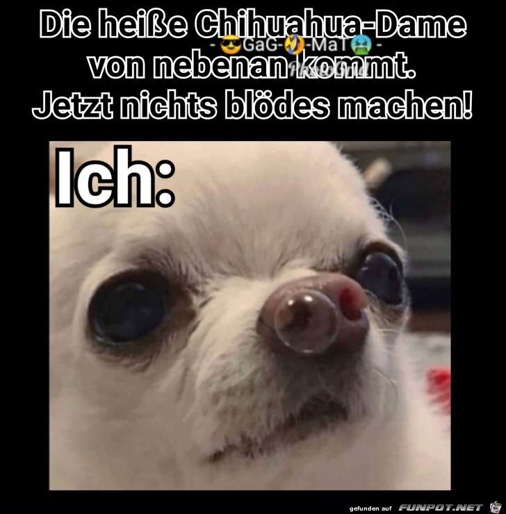 Ich Ich