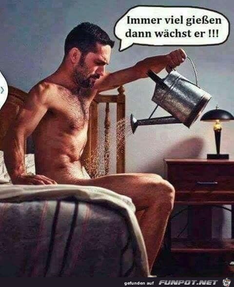Immer gießen Immer gießen