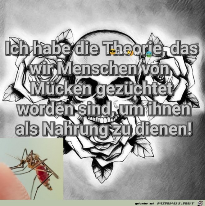 Mücken Mücken