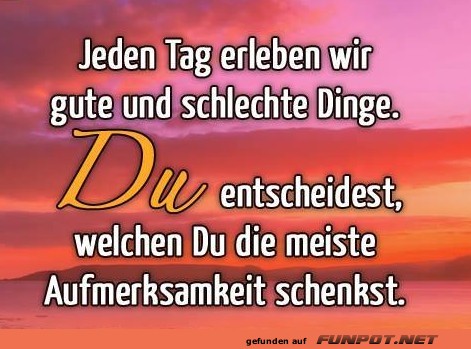 10 sch�ne Spr�che und Lebensweisheiten aus...