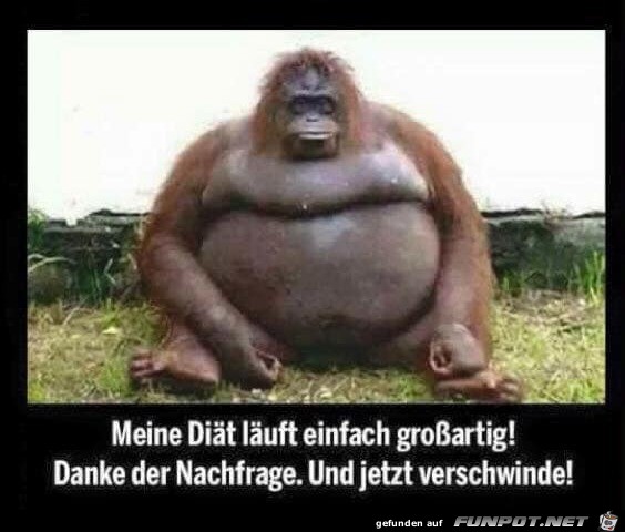Die Diät läuft super Die Diät läuft super