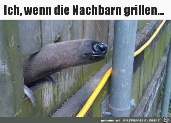 Wenn die Nachbarn grillen