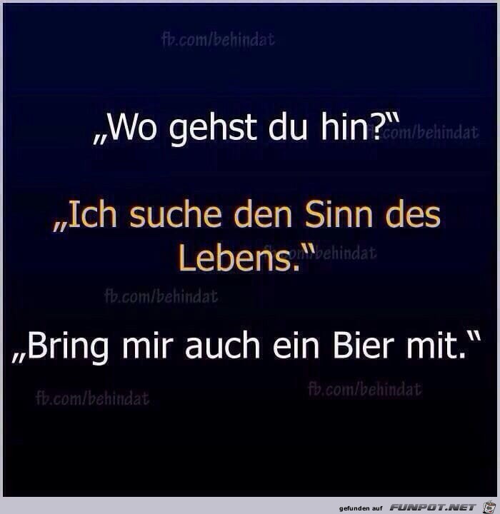 Sinn Sinn
