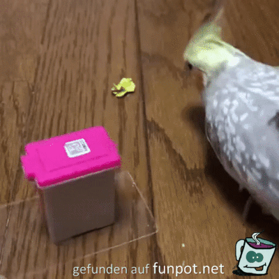 Erst mal aufräumen Erst mal aufräumen