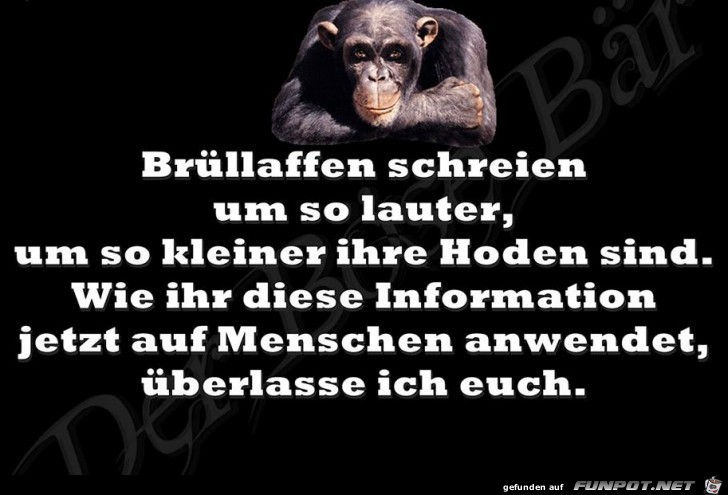 Bruellaffen Bruellaffen