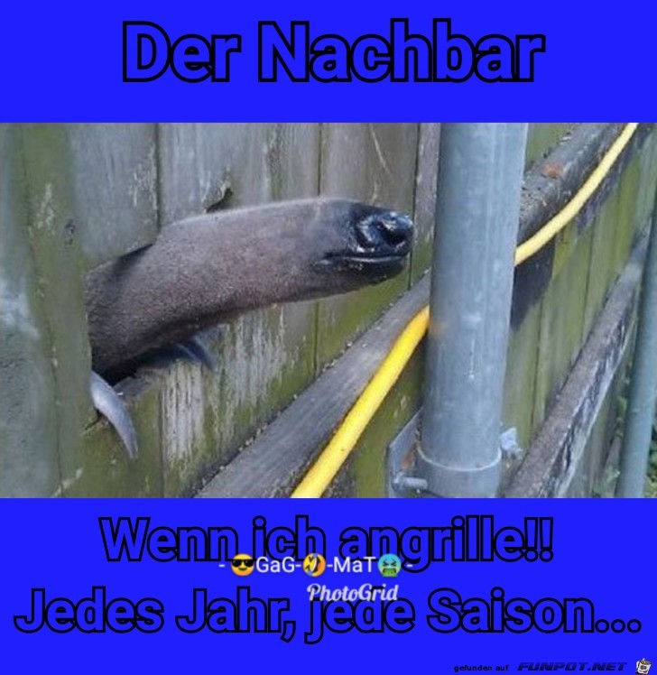Angrillen Angrillen