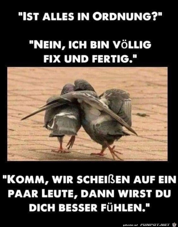Alles in Ordnung? Alles in Ordnung?