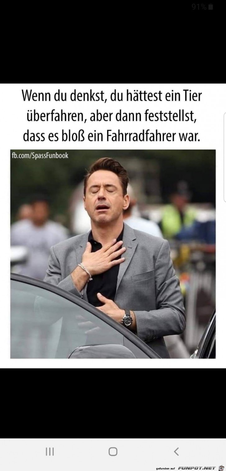 Tier überfahren Tier überfahren