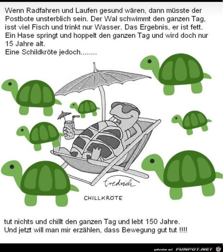 Lebensjahre Lebensjahre
