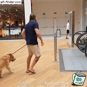 Hund weigert sich auf Rolltreppe zulaufen