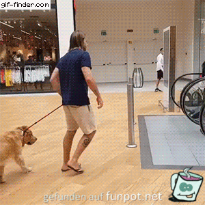 Hund weigert sich auf Rolltreppe zulaufen Hund weigert sich auf Rolltreppe zulaufen