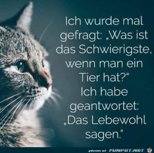 Das stimmt Das stimmt