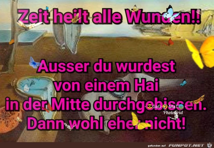 Die Zeit Die Zeit
